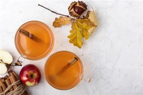 Apple Cider na May Spiced Rum: Isang Recipe para Painitin ang Iyong Gabi