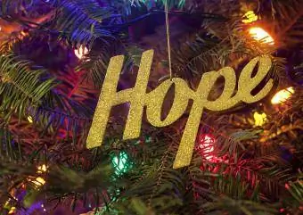 Espere que l'ornament de Nadal penja en un arbre de Nadal amb llums de Nadal