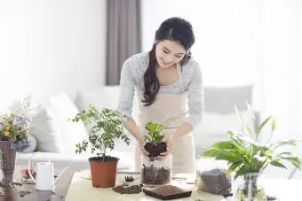 Mlada žena sadi biljku u saksiji