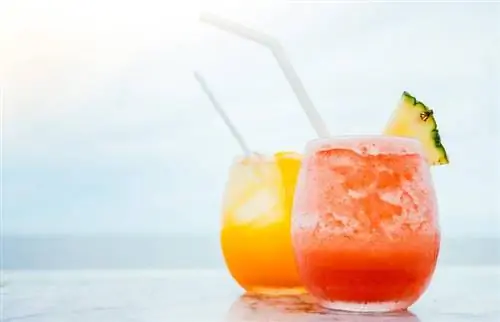 Caribbean Rum Punch: Recipes With Island-Inspired Flavor